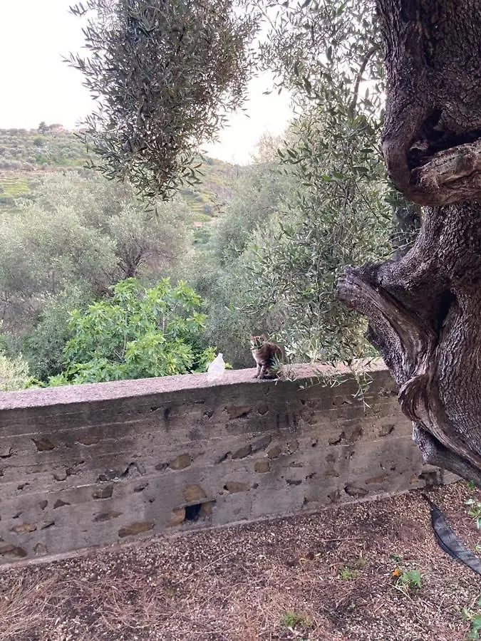 Case Giardino Apartman Pompeiana