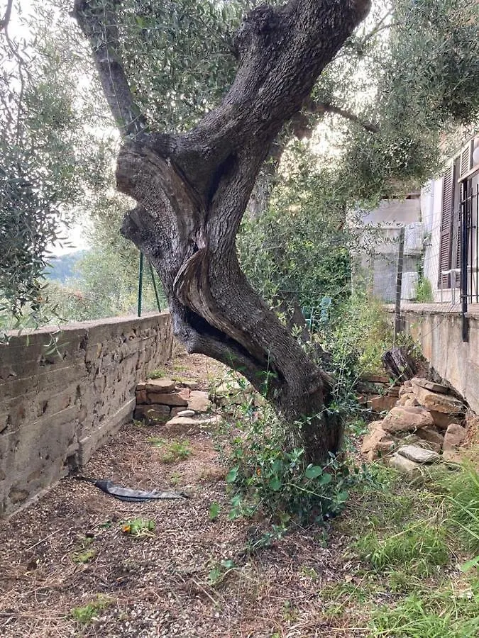 Case Giardino Apartman Pompeiana